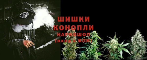 гашик Заволжье