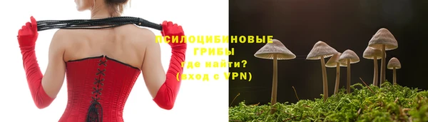 spice Заводоуковск