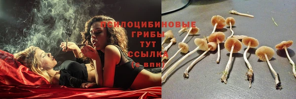 мдпв Заволжск