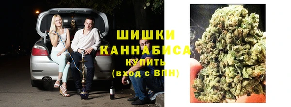 амф Осинники