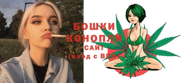 гашик Заволжье