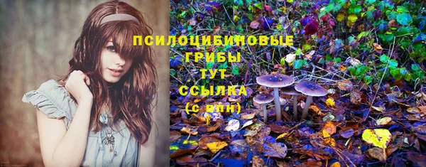 гашик Заволжье