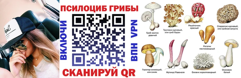 МЕГА вход купить наркотики цена Петров Вал Псилоцибиновые грибы Cubensis